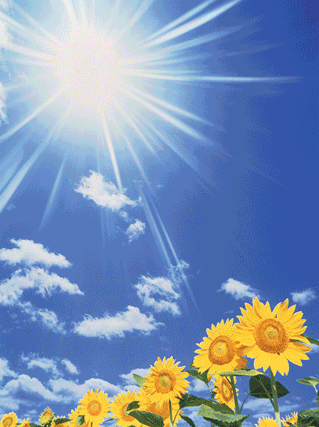 �n��72�N�����̉Ɣ�����S�����