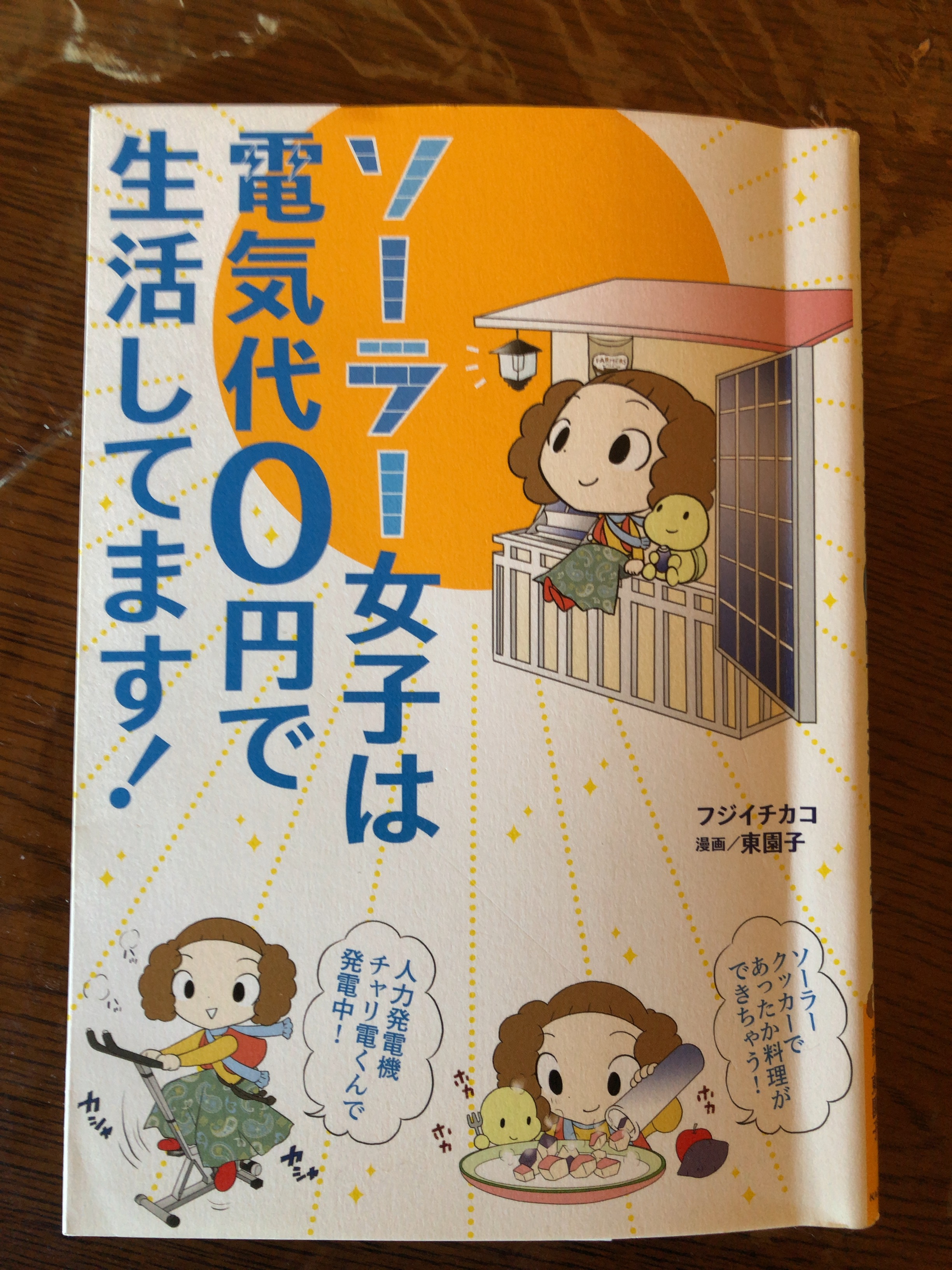 『ソーラー女子は電気代0円で生活してます!』（フジイチカコ著、
KADOKAWA刊）