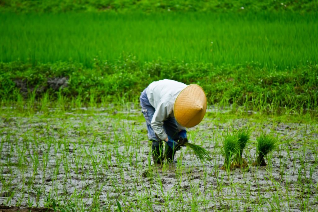 PPP_tesagyoudenaewoueru_TP_V