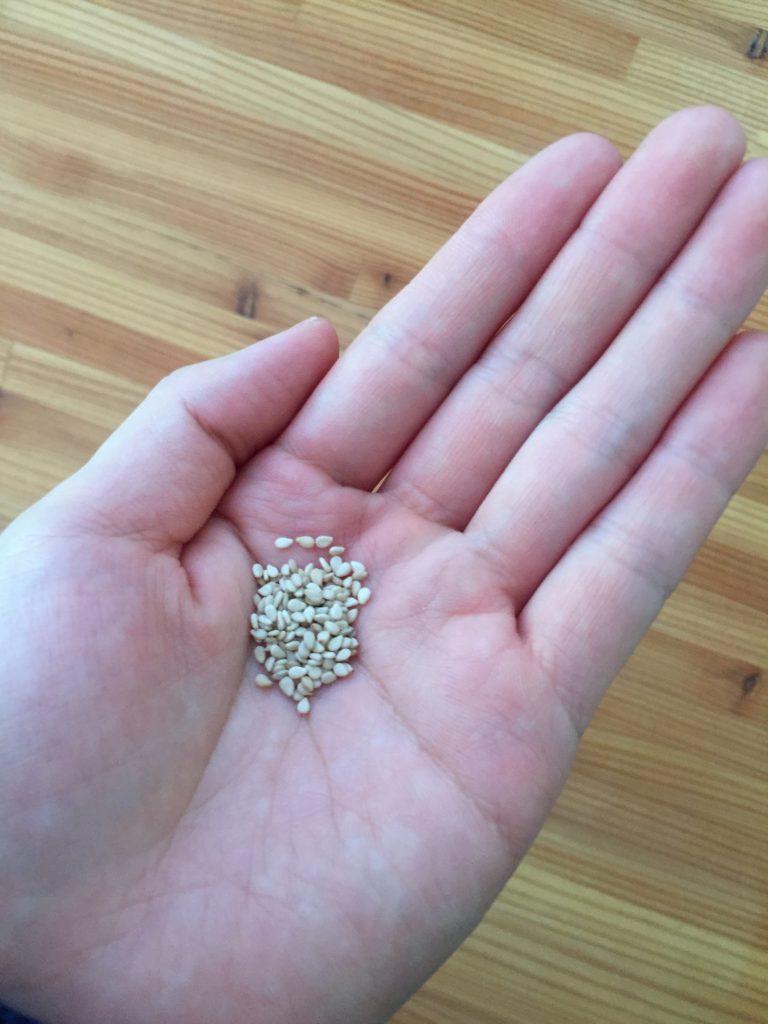 ファイル 2017-06-02 12 12 28