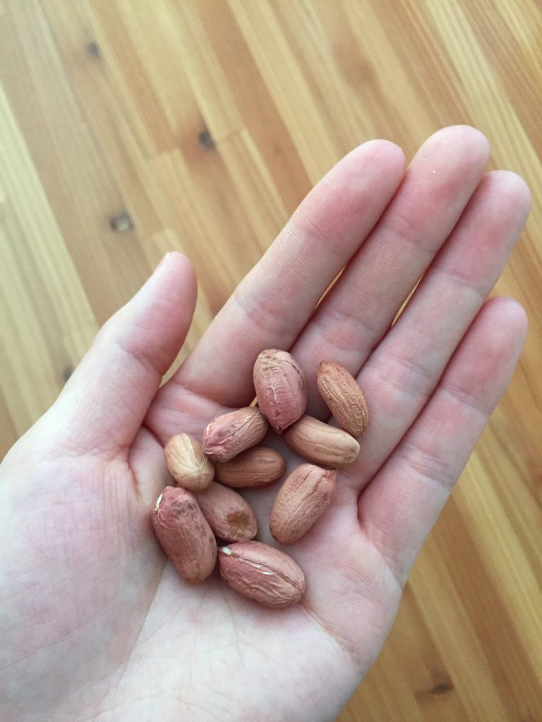 ファイル 2017-06-02 12 12 42