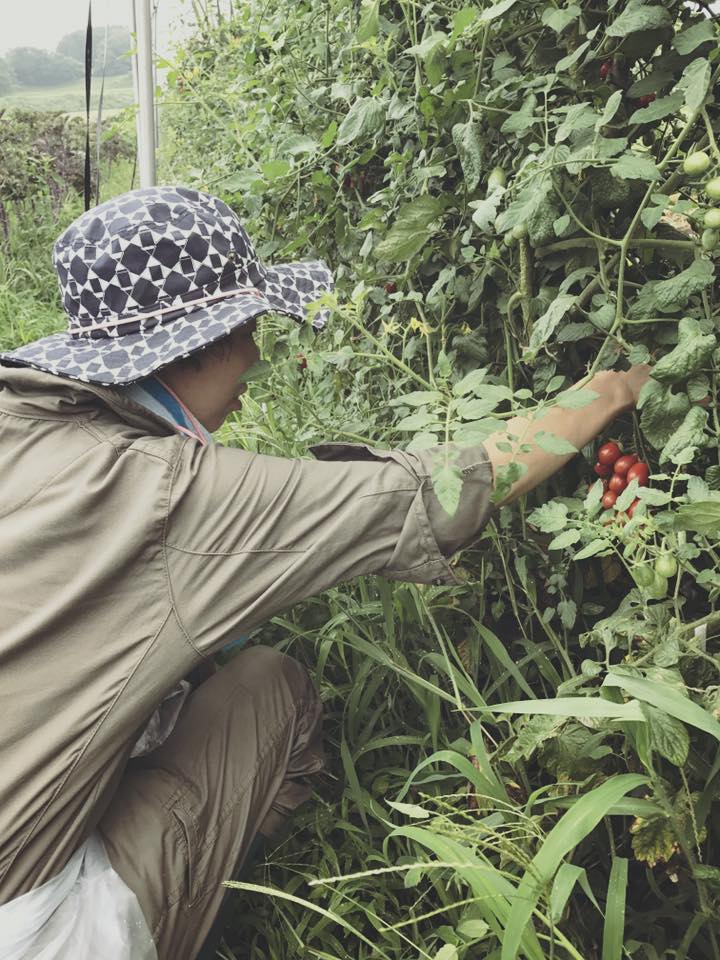 20729612_1480592015351118_2694928316717663337_n