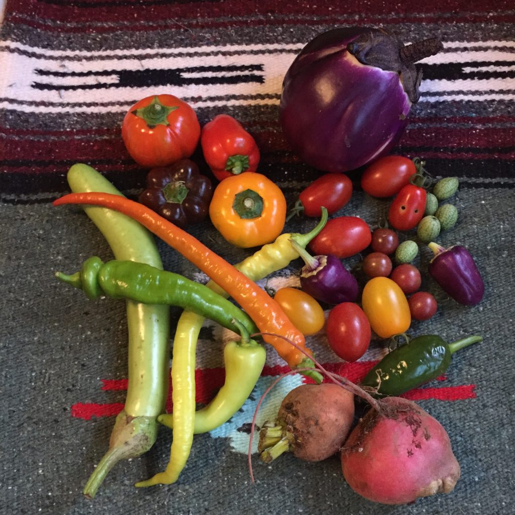 写真 2017-08-11 17 59 33