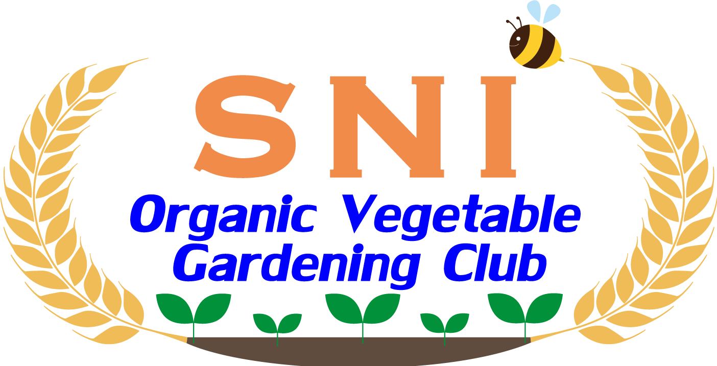 地球にやさしいたわしを作ろう ヘチマプロジェクト 生長の家 sni オーガニック菜園部 地球にやさしいたわしを作ろう ヘチマプロジェクト 生長の家 sni オーガニック菜園部