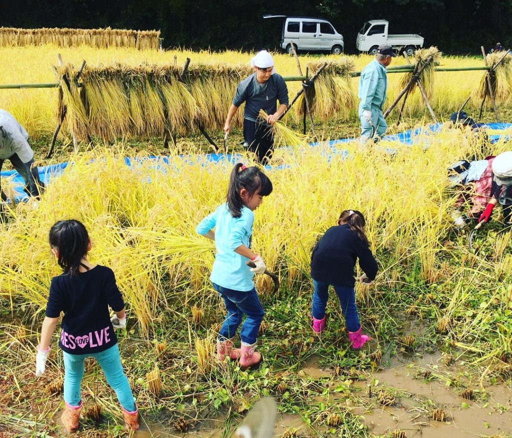 写真 2017-10-07 10 01 32