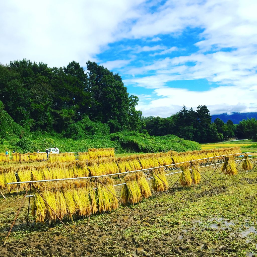 写真 2017-10-07 11 36 11