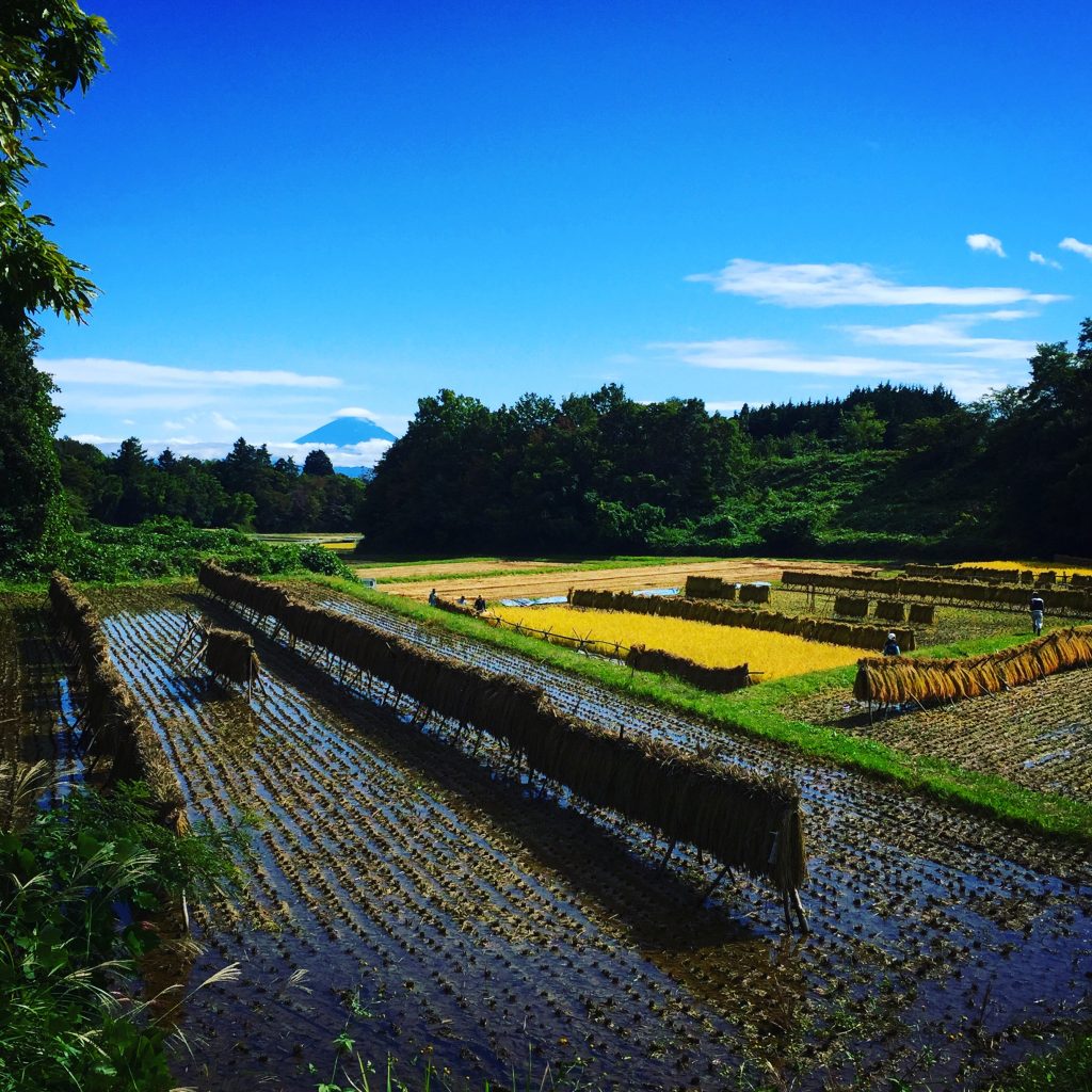 写真 2017-10-07 13 15 17