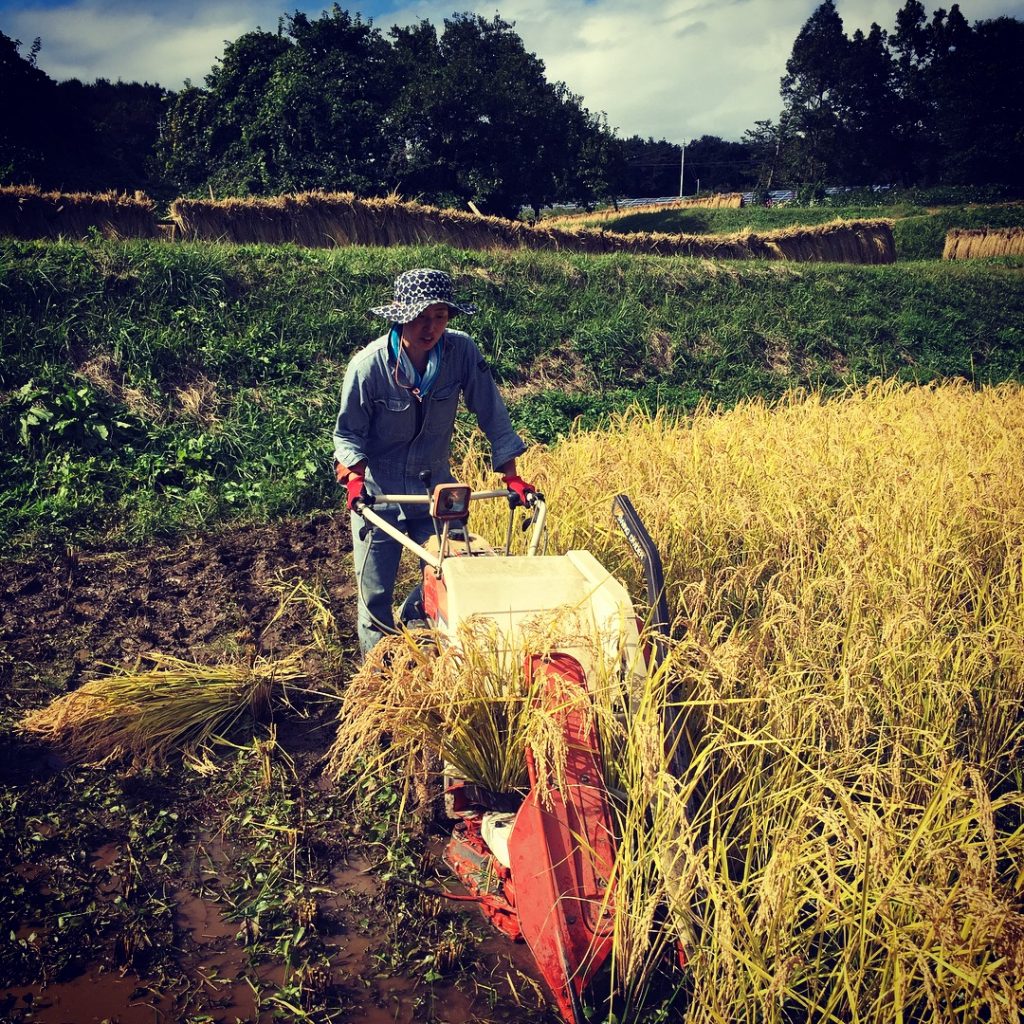 写真 2017-10-07 13 32 41