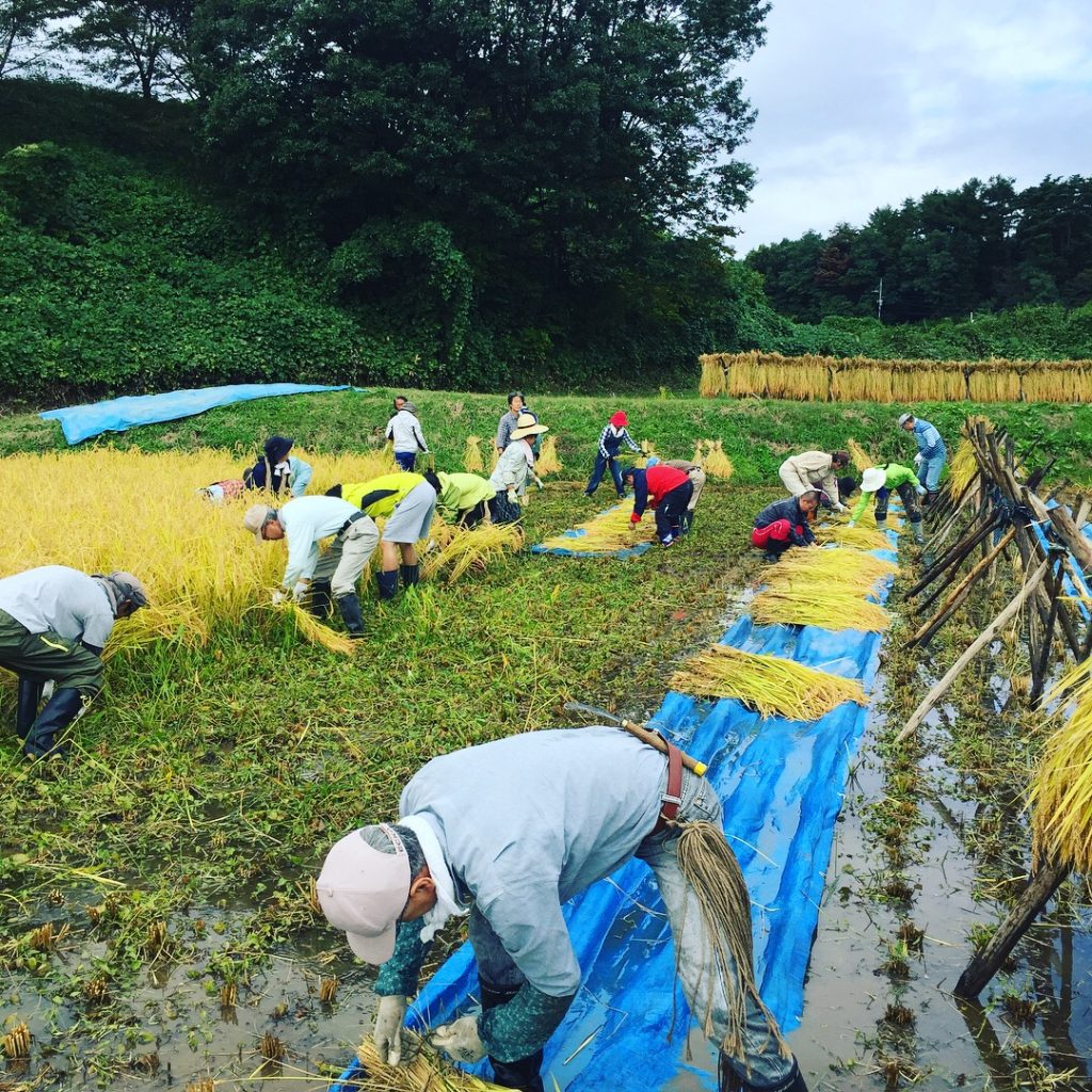 写真 2017-10-07 9 32 02