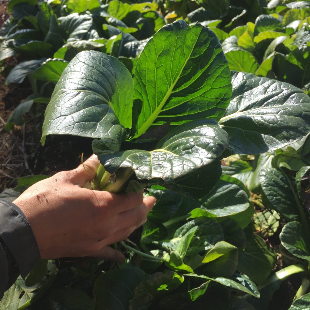 写真 2017-12-11 11 38 24