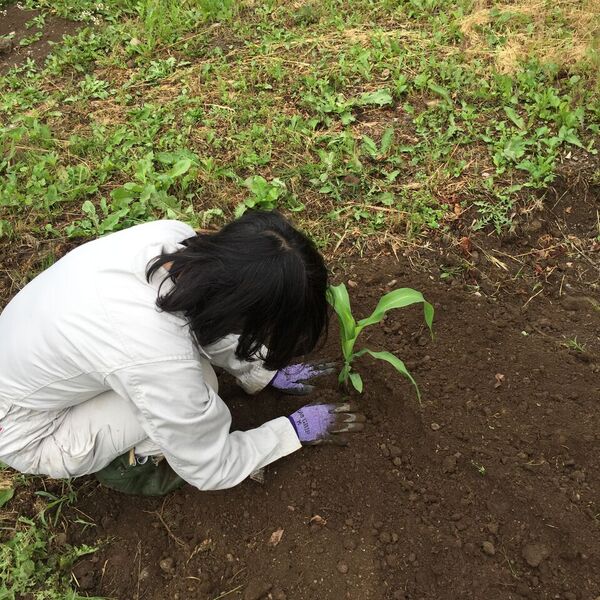 写真2017-06-0892012_preview