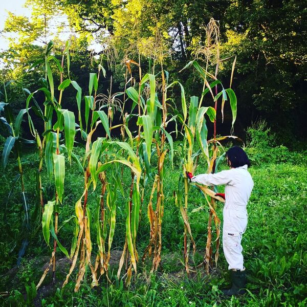 写真2017-09-14170426_preview