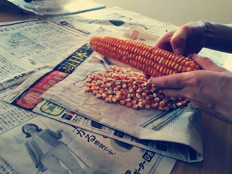 写真2017-12-2055916_preview