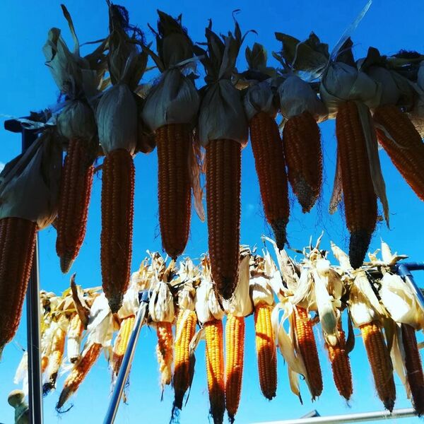 写真2017-12-2055919_preview