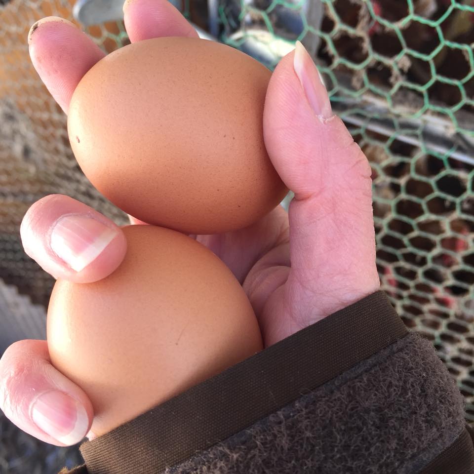 27750872_10213953058634821_209490202273050127_n