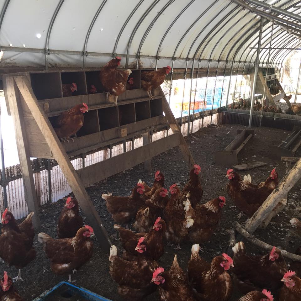 27867086_10213953058274812_3274258492007129712_n