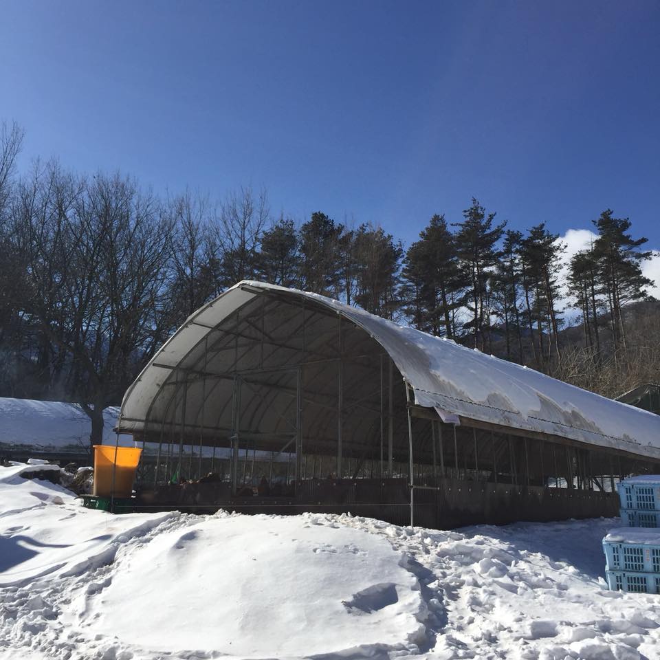 27867345_10213953060554869_4018511714150748144_n