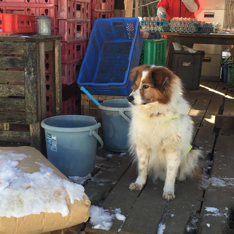 27972635_10213953061994905_1592965181069751070_n