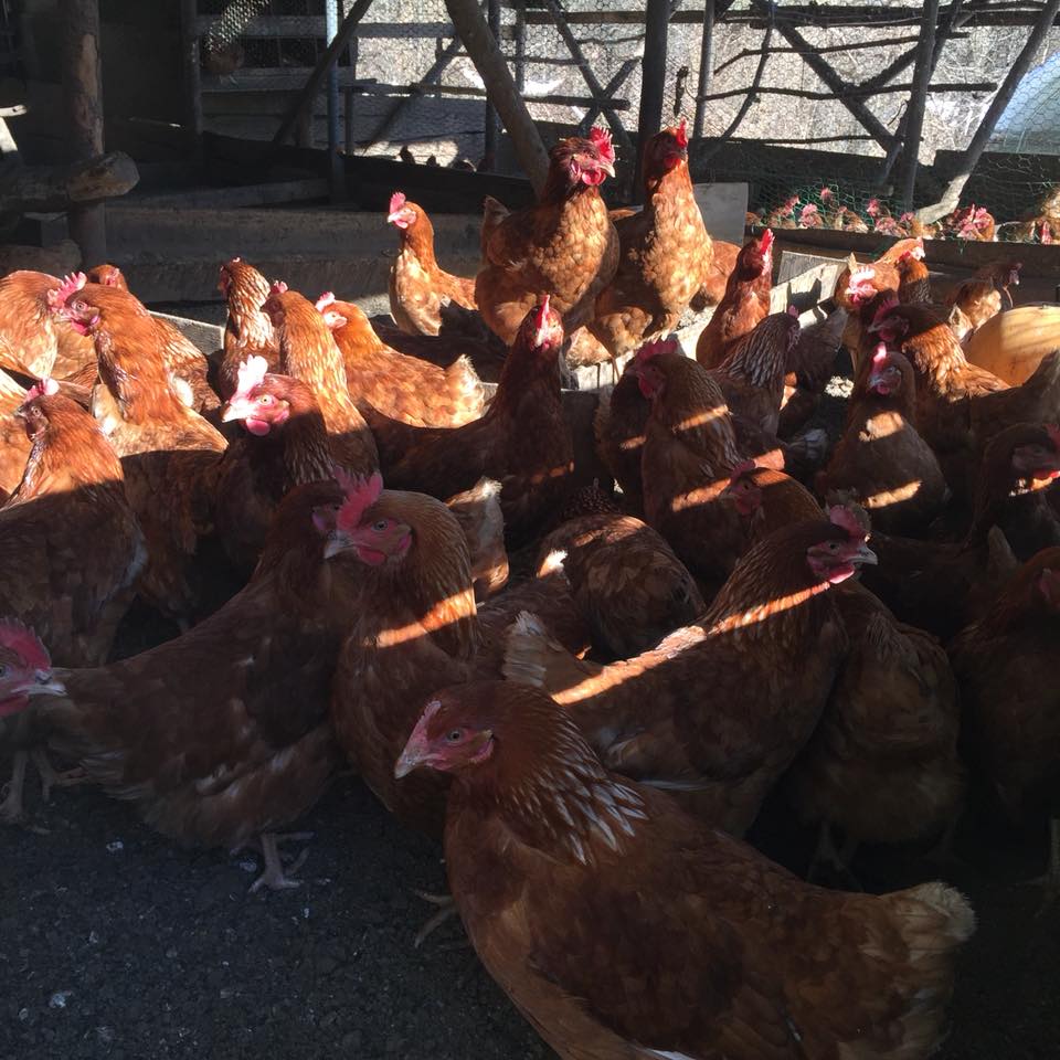 28056212_10213953057474792_4360120814421744720_n