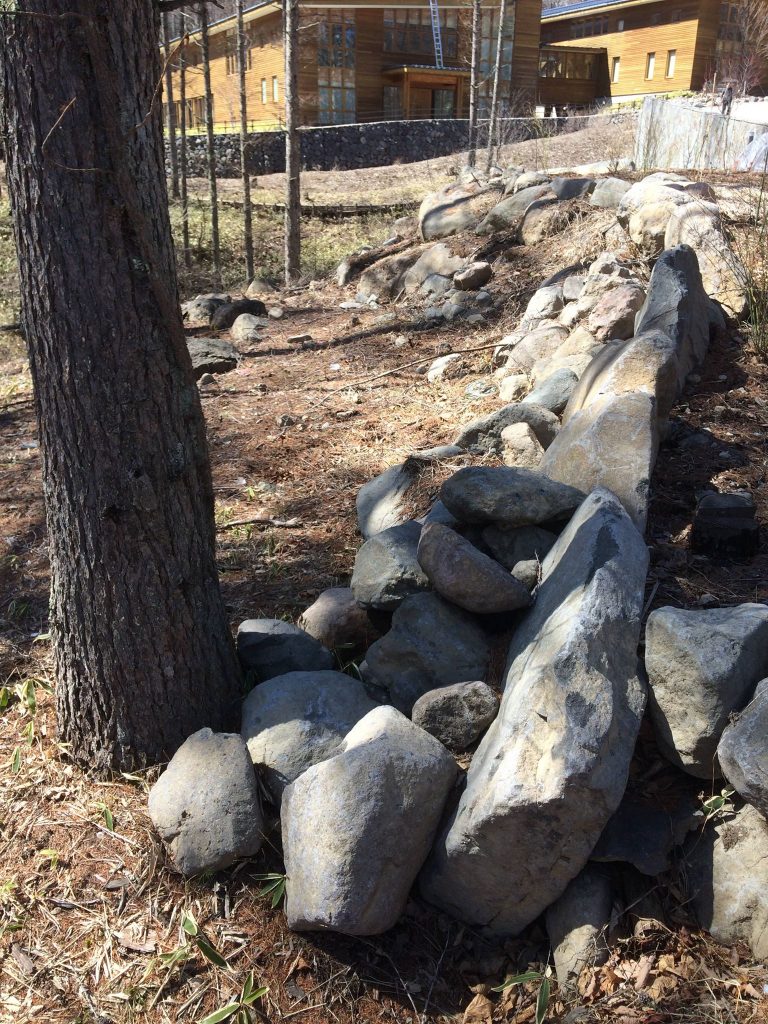 29249340_1658450527569226_5527573711101624320_o