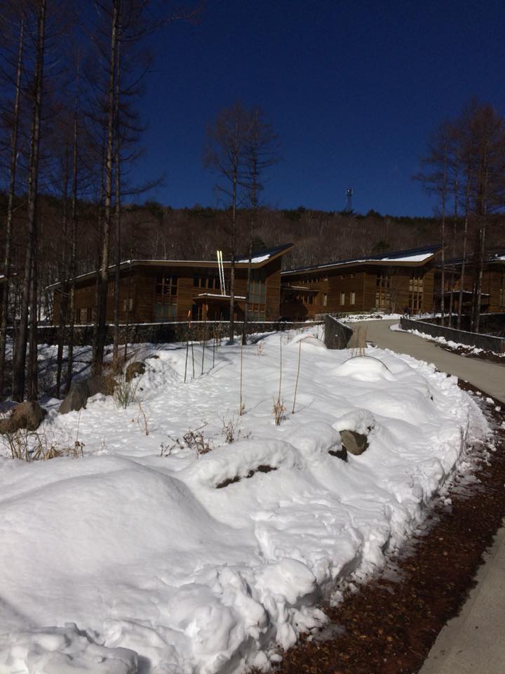 29496577_1664851100262502_2664420440898886416_n