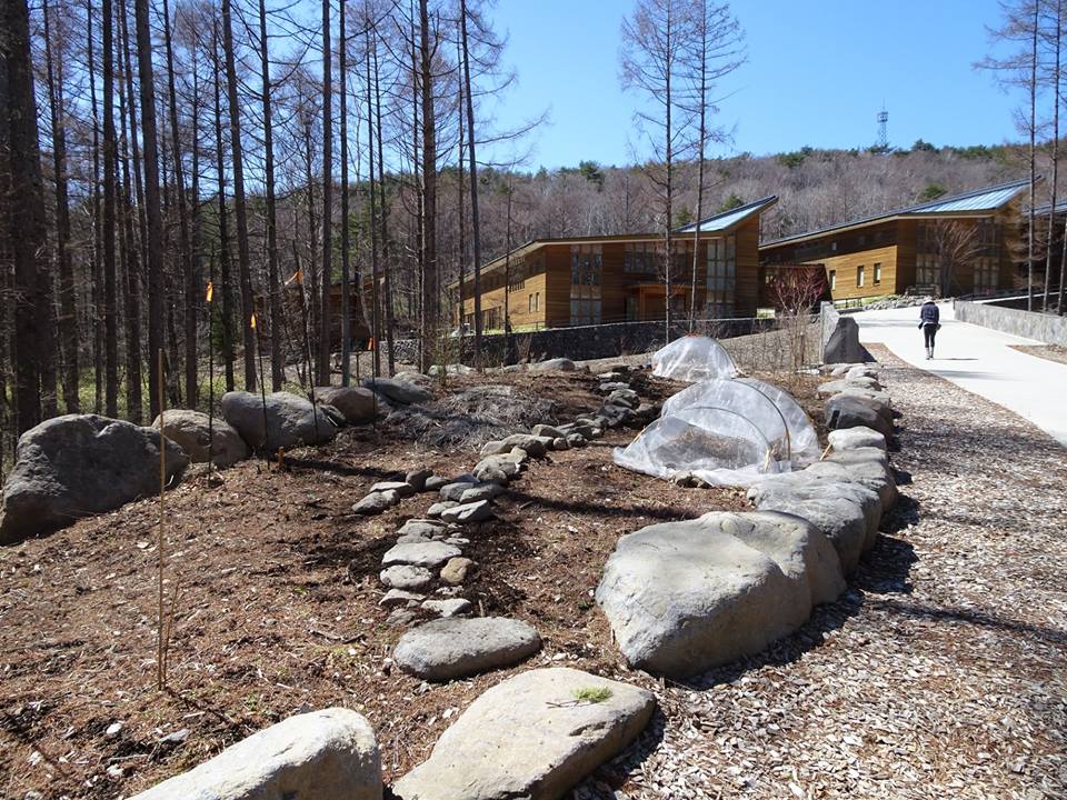 29572624_1672442146170064_1673765152646671580_n