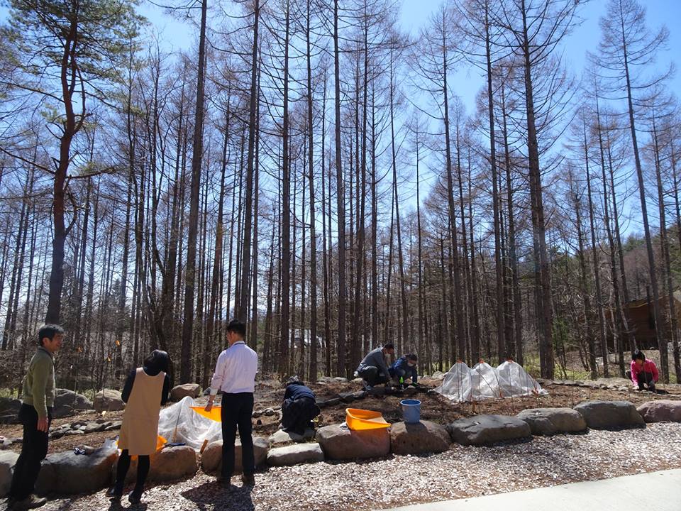 29695042_1672441879503424_6530050135112691518_n