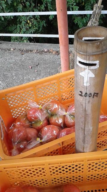 無人販売所 生長の家 sni オーガニック菜園部 無人販売所 生長の家 sni オーガニック菜園部
