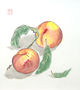 谷口 恵美子 先生