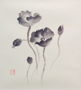 谷口 恵美子 先生
